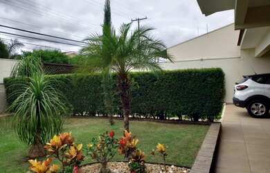 Imagem 3: Casa térrea no tarraf 2 reformada com quiosque gourmet com churrasqueira