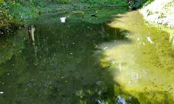 Imagem 6: CHÁCARA em Rio Grande da Serra - SP, Vila Figueredo