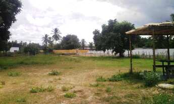 Imagem 4: Terreno Ponta de areia Itaparica