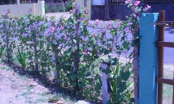 Imagem 6: Terreno Ponta de areia Itaparica