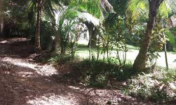 Imagem 2: TERRENO RESIDENCIAL em MAR GRANDE - BA, Jaburu