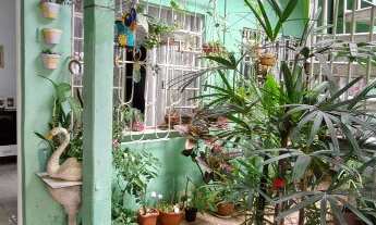 Imagem 3: Aluguel de Casa Térrea na Casa Verde Alta, São Paulo-SP: 2 quartos, 1 sala e quintal espaç