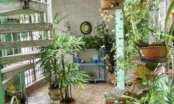 Imagem 2: Aluguel de Casa Térrea na Casa Verde Alta, São Paulo-SP: 2 quartos, 1 sala e quintal espaç