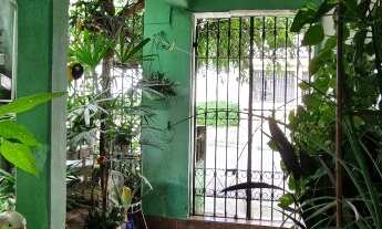 Imagem 5: Aluguel de Casa Térrea na Casa Verde Alta, São Paulo-SP: 2 quartos, 1 sala e quintal espaç