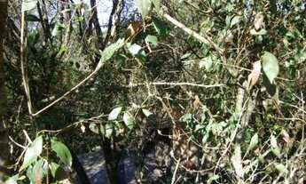 Imagem 3: LINDISSIMO IMOVEL EM CONDOMINIO FECHADO