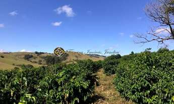 Imagem: SITIO A VENDA EM BUENO BRANDÃO - PRÓXIMO