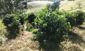 Imagem 3: SITIO A VENDA EM BUENO BRANDÃO - PRÓXIMO A SOCORRO