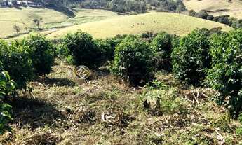 Imagem 2: SITIO A VENDA EM BUENO BRANDÃO - PRÓXIMO A SOCORRO