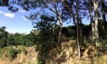 Imagem 7: SITIO A VENDA EM BUENO BRANDÃO - PRÓXIMO A SOCORRO