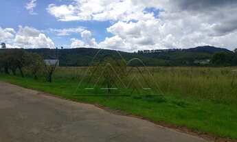 Imagem 4: TERRENO INDUSTRIAL em POÇOS DE CALDAS - MG, DISTRITO INDUSTRIAL ATRAS DA UNIFAL