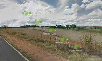 Imagem 5: ÁREA 90 ALQUEIRES FERNANDÓPOLIS