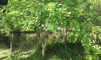 Imagem 3: TERRENOS E SÍTIO À VENDA NO BAIRRO TAIAÇUPEBA EM MOGI DAS CRUZES-SP