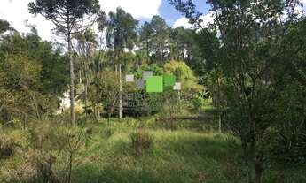 Imagem 4: TERRENOS E SÍTIO À VENDA NO BAIRRO TAIAÇUPEBA EM MOGI DAS CRUZES-SP