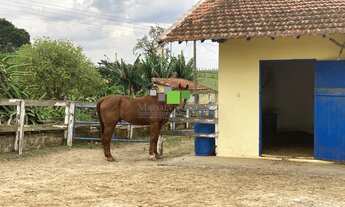 Imagem 6: FAZENDA COM HARAS FORMADO PARA VENDER EM TATUÍ