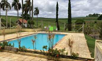 Imagem 3: FAZENDA COM HARAS FORMADO PARA VENDER EM TATUÍ