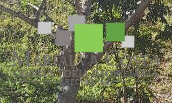 Imagem 2: TERRENO AMPLO À VENDA EM SANTA ISABEL NO CONDOMÍNIO RESERVA IBIRAPITANGA