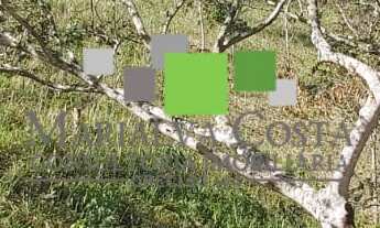 Imagem 3: TERRENO AMPLO À VENDA EM SANTA ISABEL NO CONDOMÍNIO RESERVA IBIRAPITANGA