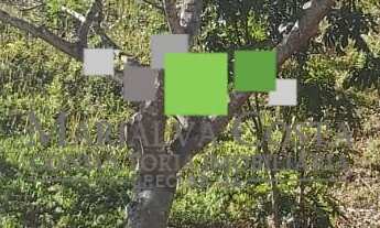 Imagem 2: Terreno no Condomínio Reserva Ibirapitanga. Conexão com a Natureza a Menos de 50km de São