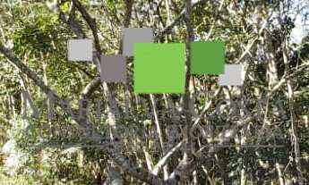 Imagem 3: Terreno no Condomínio Reserva Ibirapitanga. Conexão com a Natureza a Menos de 50km de São