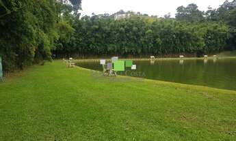 Imagem: FAZENDA LINDA EM SANTA ISABEL PARA VENDER!