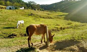 Imagem 5: Sítio para Venda em Biritiba-mirim/SP