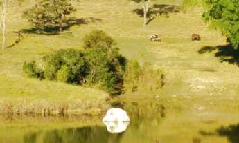 Imagem 2: Sítio para Venda em Biritiba-mirim/SP