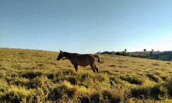 Imagem 4: Sítio para Venda em Biritiba-mirim/SP