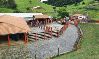 Imagem: FAZENDA RURAL em SALESÓPOLIS - SP, CEDRO