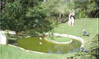 Imagem 6: Área para Venda na Cidade de Suzano/SP