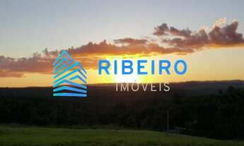 Imagem 5: Lote em Ninho Verde 2