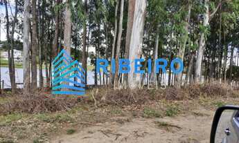 Imagem 5: TERRENO NO NINHO VERDE 2