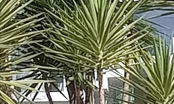 Imagem: Casa a venda, em Santana de Parnaíba, Residencial