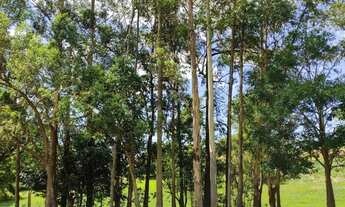 Imagem 4: Vendo dois Terreno Ninho verde 1- com 450mts cada ja escriturados