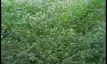 Imagem 3: Terreno Condominio Taruma Santana de Parnaíba Aceita financiamento Bancario