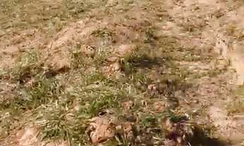 Imagem 4: Belíssimo terreno à venda no Reserva Santa Anna. São 1000m² de área!!!