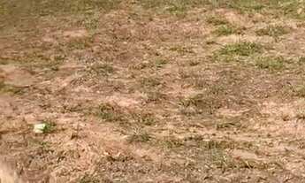 Imagem: Belíssimo terreno à venda no Reserva Santa