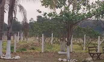 Imagem 6: Chacara a venda com 1250mts² por apenas R$ 350mil Porangaba