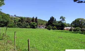 Imagem: CHACARA RURAL em COLOMBO - PR, MORRO GRANDE