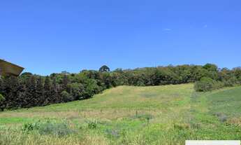 Imagem 4: CHACARA RURAL em COLOMBO - PR, MORRO GRANDE