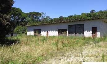 Imagem 3: CHACARA RURAL em COLOMBO - PR, MORRO GRANDE