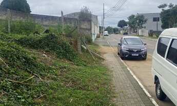 Imagem 5: TERRENO RESIDENCIAL OU COMERCIAL em ARAUCÁRIA - PR, CENTRO