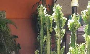 Imagem: Ótima casa no Centro de Bady Bassitt