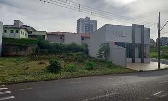 Imagem 5: Terreno comercial na Av. Adhemar Polo Filho