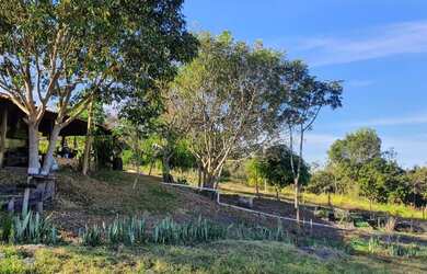 Imagem 4: Sítio na região de Pedregulho