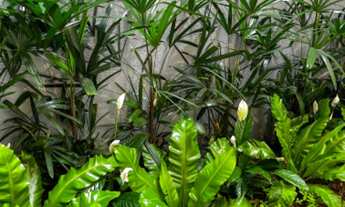 Imagem 6: CASA RESIDENCIAL em FRANCA - SP, RESIDENCIAL COLINA DO ESPRAIADO