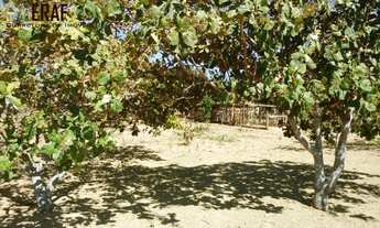 Imagem 5: FAZENDA RURAL em FORMOSA - GO, CENTRO