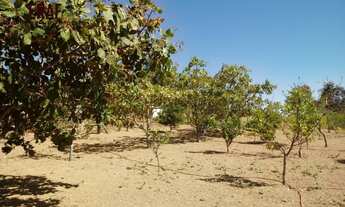 Imagem 7: FAZENDA RURAL em FORMOSA - GO, CENTRO