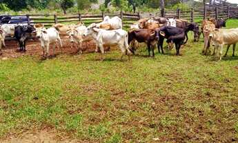 Imagem: FAZENDA RURAL em BURITIS - MG, CENTRO