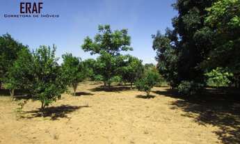 Imagem 2: CHACARA RURAL em FORMOSA - GO, SETOR NORDESTE