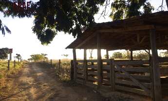 Imagem 7: CHACARA RURAL em FORMOSA - GO, SÃO PEDRO